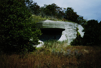 bunker1.jpeg